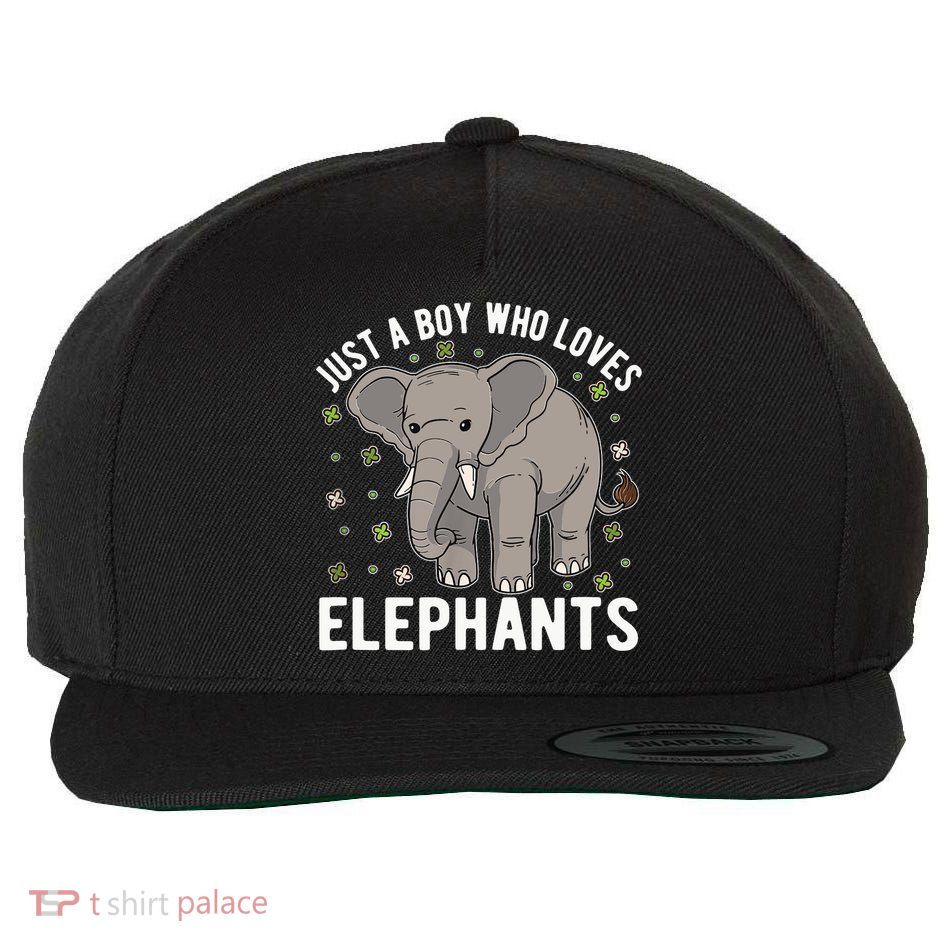 Just A Boy Who Loves Elephants Wool Snapback Cap