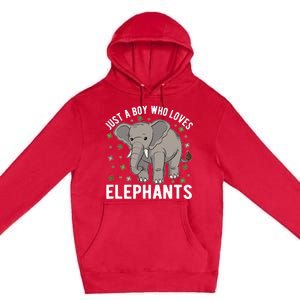 Just A Boy Who Loves Elephants Premium Pullover Hoodie