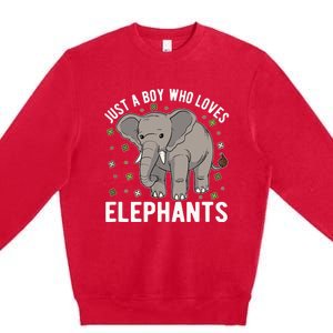 Just A Boy Who Loves Elephants Premium Crewneck Sweatshirt