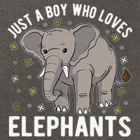 Just A Boy Who Loves Elephants Cotton Canvas Backpack
