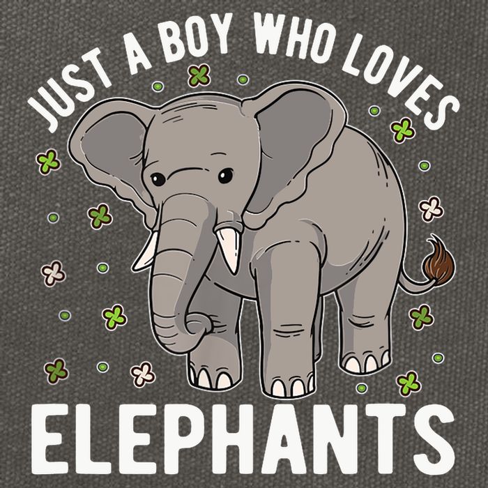 Just A Boy Who Loves Elephants Cotton Canvas Backpack