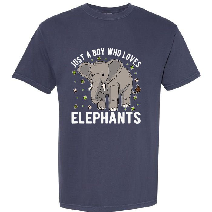 Just A Boy Who Loves Elephants Garment-Dyed Heavyweight T-Shirt