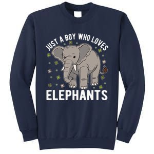 Just A Boy Who Loves Elephants Sweatshirt