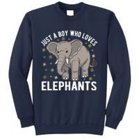 Just A Boy Who Loves Elephants Sweatshirt