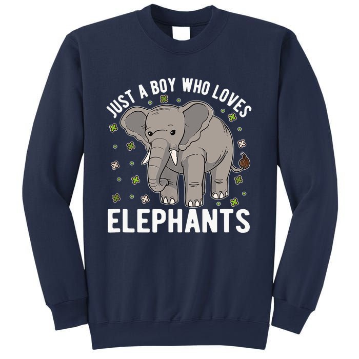 Just A Boy Who Loves Elephants Sweatshirt