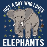 Just A Boy Who Loves Elephants Tall T-Shirt