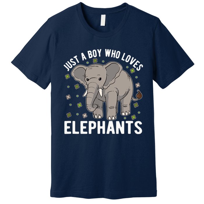 Just A Boy Who Loves Elephants Premium T-Shirt