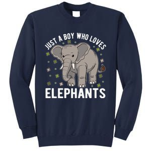 Just A Boy Who Loves Elephants Tall Sweatshirt