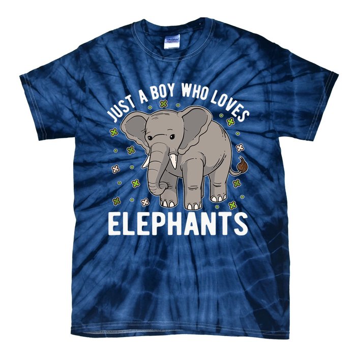 Just A Boy Who Loves Elephants Tie-Dye T-Shirt