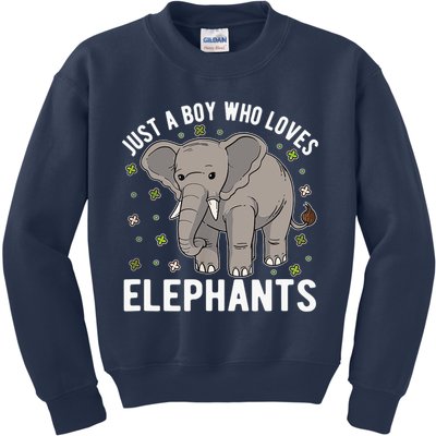Just A Boy Who Loves Elephants Kids Sweatshirt
