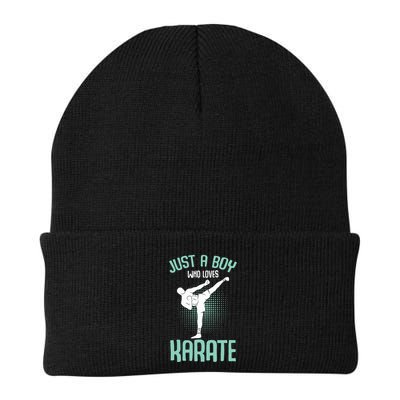 Just A Boy Who Loves Karate Boy Beanie