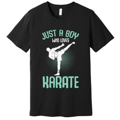 Just A Boy Who Loves Karate Boy Premium T-Shirt
