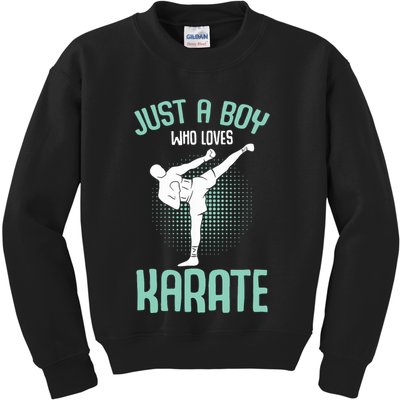 Just A Boy Who Loves Karate Boy Kids Sweatshirt