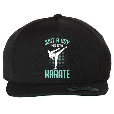 Just A Boy Who Loves Karate Boy Wool Snapback Cap