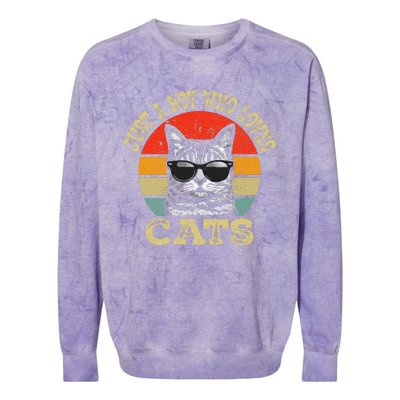 Just A Boy Who Loves Cats Boy Cat Lover Colorblast Crewneck Sweatshirt