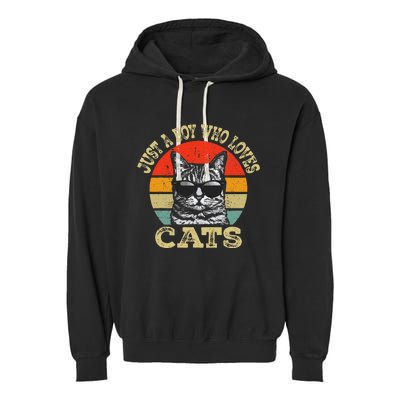 Just A Boy Who Loves Cats Boy Cat Lover Garment-Dyed Fleece Hoodie