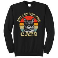 Just A Boy Who Loves Cats Boy Cat Lover Sweatshirt