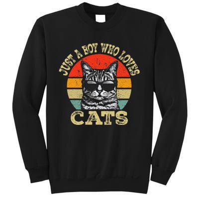 Just A Boy Who Loves Cats Boy Cat Lover Sweatshirt