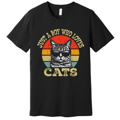 Just A Boy Who Loves Cats Boy Cat Lover Premium T-Shirt