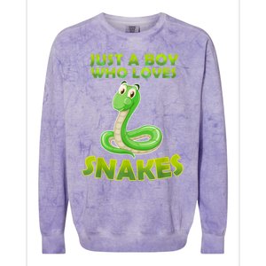 Just A Boy Who Loves Snakes Snake Lover Gift Colorblast Crewneck Sweatshirt