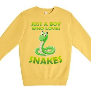 Just A Boy Who Loves Snakes Snake Lover Gift Premium Crewneck Sweatshirt