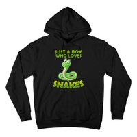 Just A Boy Who Loves Snakes Snake Lover Gift Hoodie