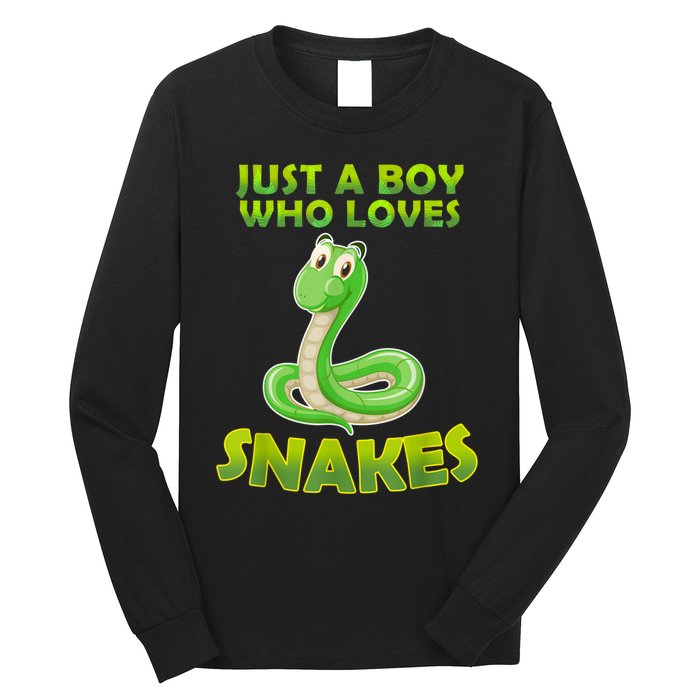 Just A Boy Who Loves Snakes Snake Lover Gift Long Sleeve Shirt