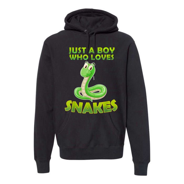 Just A Boy Who Loves Snakes Snake Lover Gift Premium Hoodie