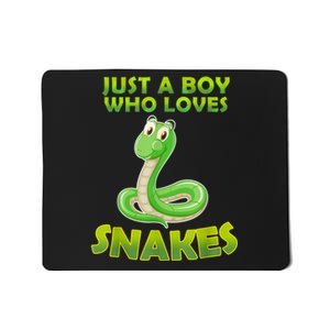 Just A Boy Who Loves Snakes Snake Lover Gift Mousepad