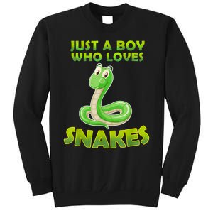 Just A Boy Who Loves Snakes Snake Lover Gift Tall Sweatshirt