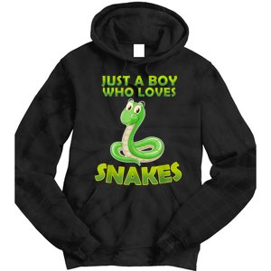 Just A Boy Who Loves Snakes Snake Lover Gift Tie Dye Hoodie