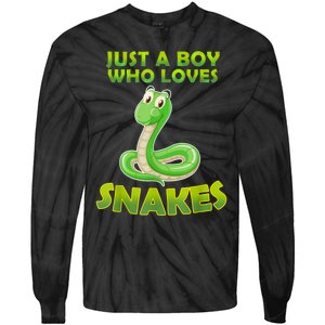 Just A Boy Who Loves Snakes Snake Lover Gift Tie-Dye Long Sleeve Shirt