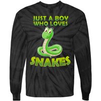 Just A Boy Who Loves Snakes Snake Lover Gift Tie-Dye Long Sleeve Shirt