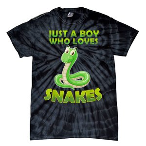 Just A Boy Who Loves Snakes Snake Lover Gift Tie-Dye T-Shirt