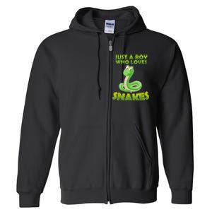 Just A Boy Who Loves Snakes Snake Lover Gift Full Zip Hoodie