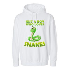 Just A Boy Who Loves Snakes Snake Lover Gift Garment-Dyed Fleece Hoodie