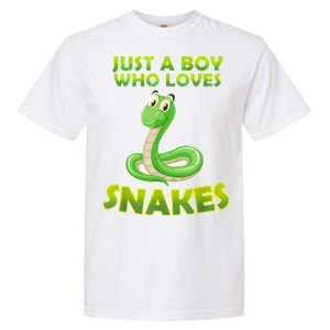 Just A Boy Who Loves Snakes Snake Lover Gift Garment-Dyed Heavyweight T-Shirt