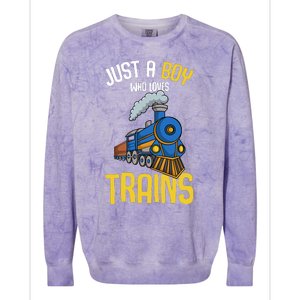 Just A Boy Who Loves Trains Locomotive Train Colorblast Crewneck Sweatshirt