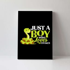 Just A Boy Who Loves Snakes Funny Gift For Snake Lover Canvas