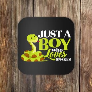 Just A Boy Who Loves Snakes Funny Gift For Snake Lover Coaster