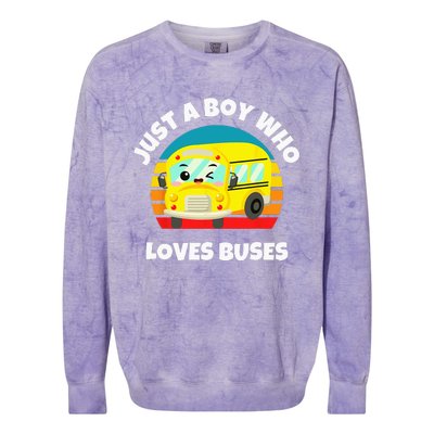 Just A Boy Who Loves Buses Birthday Yellow School Bus Lover Colorblast Crewneck Sweatshirt