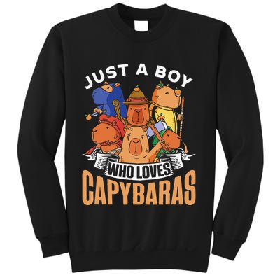 Just A Boy Who Loves Capybaras Animal Rodent Capybara Lover  Sweatshirt