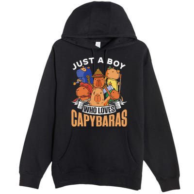 Just A Boy Who Loves Capybaras Animal Rodent Capybara Lover  Premium Pullover Hoodie