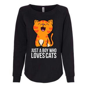 Just a Boy Who Loves Cats Womens California Wash Sweatshirt