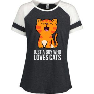 Just a Boy Who Loves Cats Enza Ladies Jersey Colorblock Tee