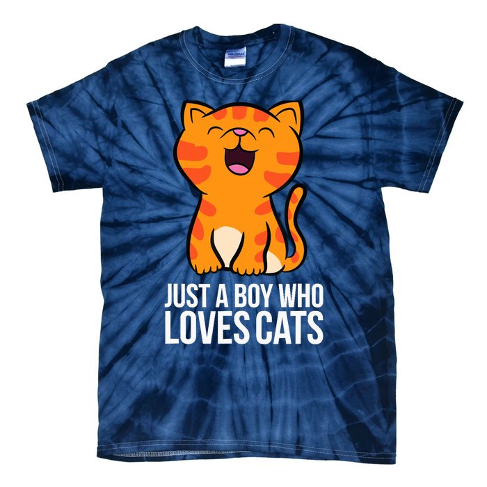 Just a Boy Who Loves Cats Tie-Dye T-Shirt