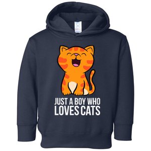 Just a Boy Who Loves Cats Toddler Hoodie