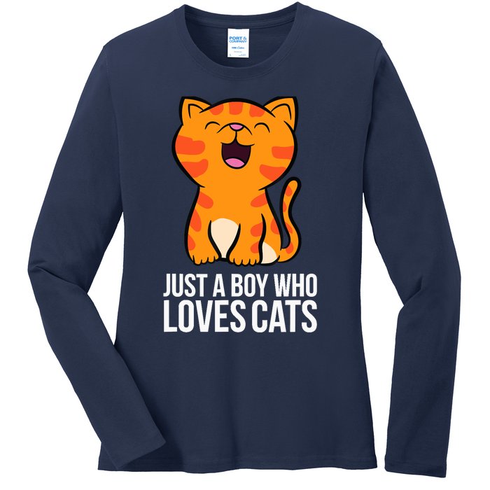 Just a Boy Who Loves Cats Ladies Long Sleeve Shirt