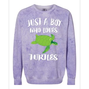 Just A Boy Who Loves Sea Turtles Ocean Animal Gift Colorblast Crewneck Sweatshirt