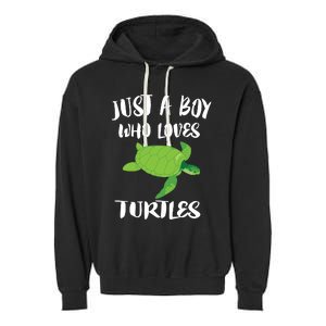 Just A Boy Who Loves Sea Turtles Ocean Animal Gift Garment-Dyed Fleece Hoodie